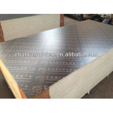 linyi manufacture high quality marine plywood in Mid-East